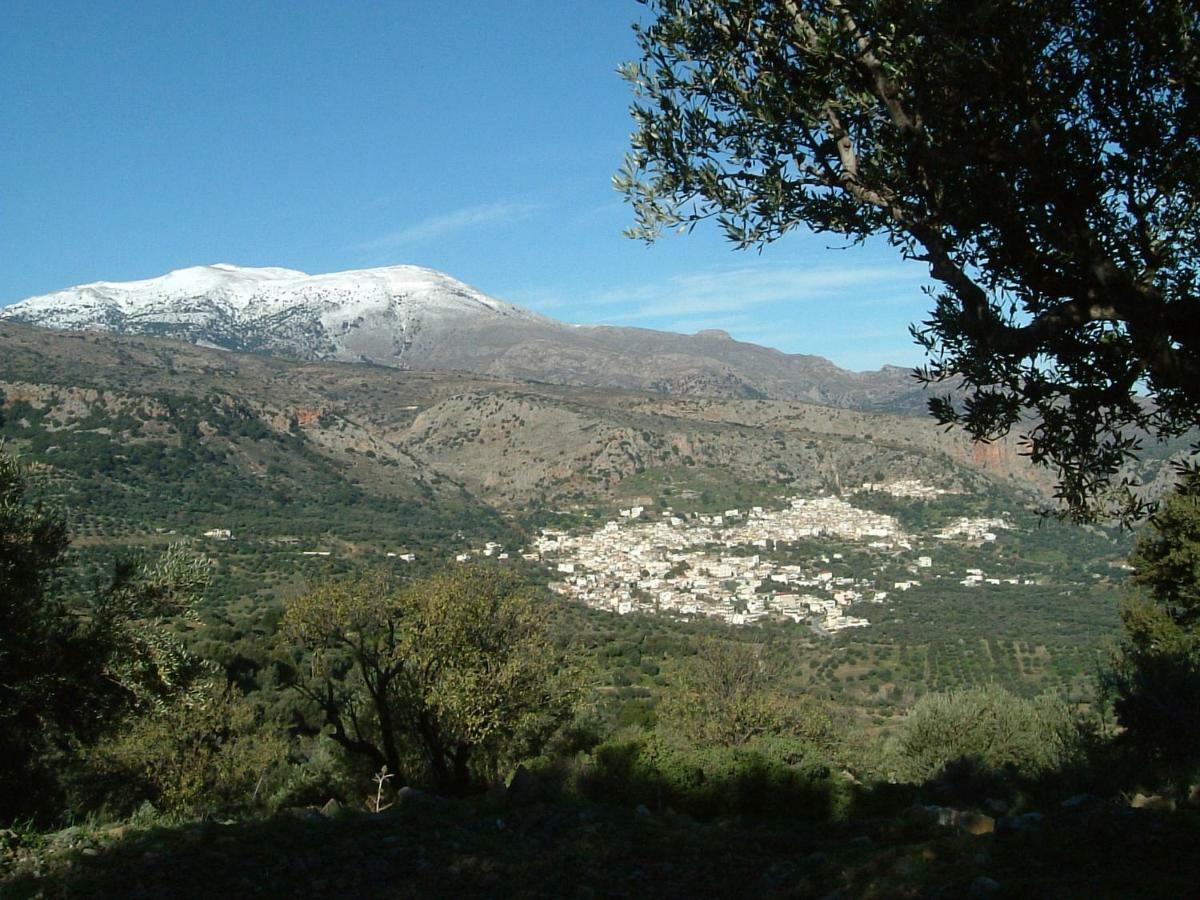 Stunning Seaview Town Apartment Agios Nikolaos Exteriör bild